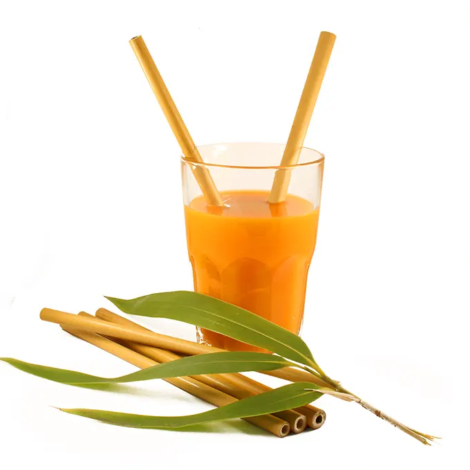 Bamboo straws in fruit juice with foliage