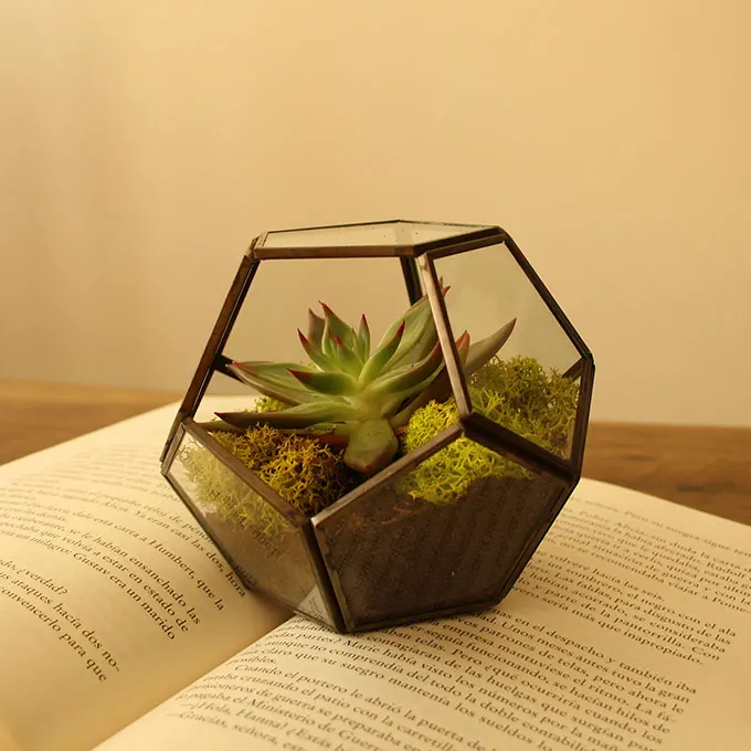 Geometrische vaas geplaatst op een boek met een bloem in vuil erin