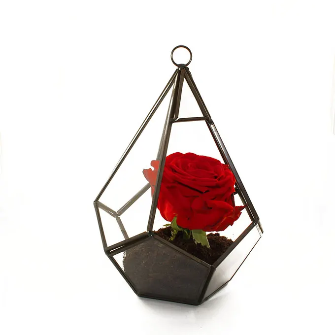 Geometrische vaas op een witte achtergrond met een roos in vuil