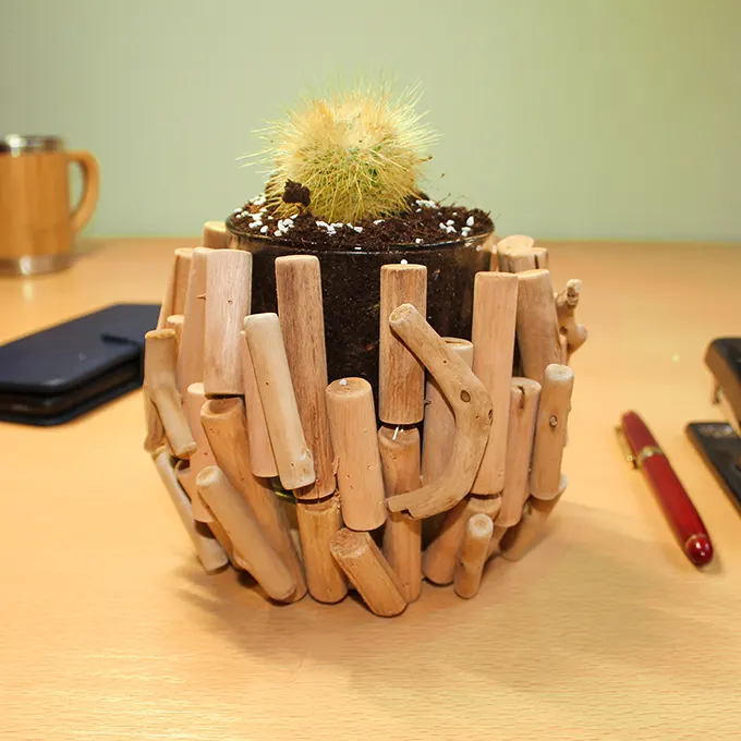 Vaas op een bureau met een cactus en kantoorspullen