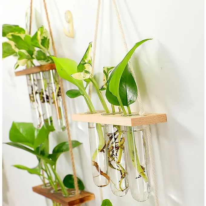 Tube vase hanging on a wall with green plants
