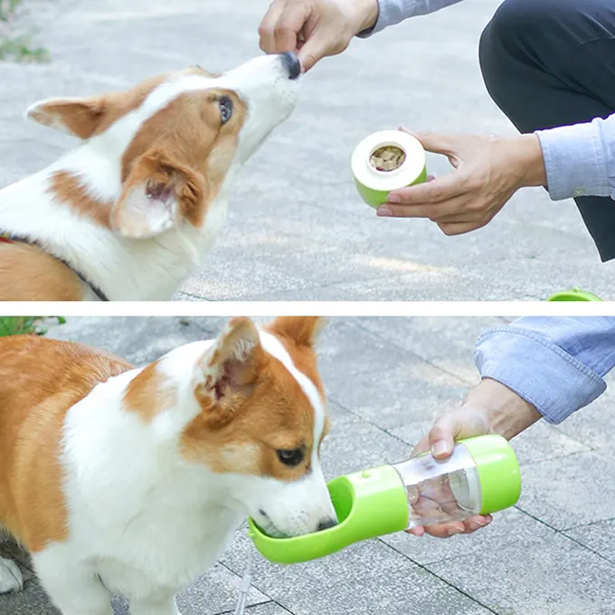 Kibble and water dispenser, demonstration of use with a dog outside