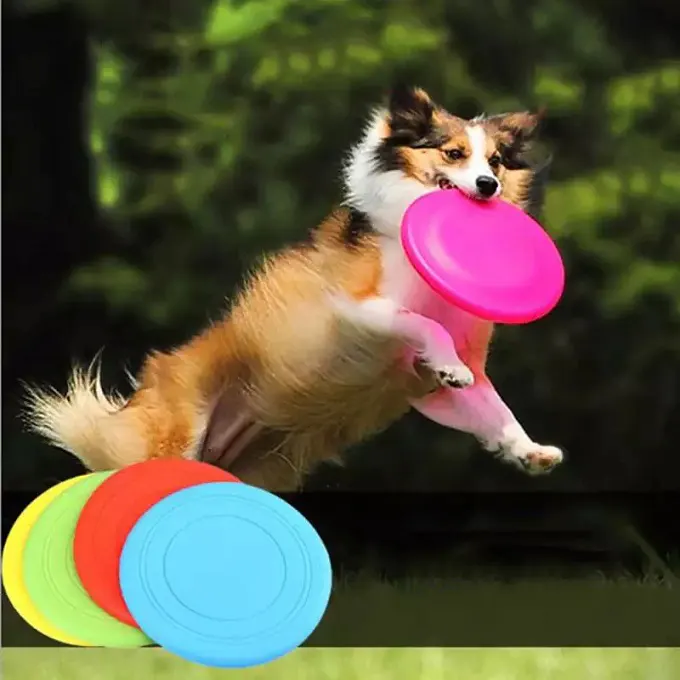 hond die een vliegende frisbee vangt